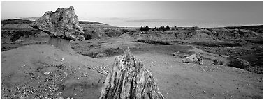 Petrified wood in badlands landscape. Theodore Roosevelt National Park (Panoramic black and white)