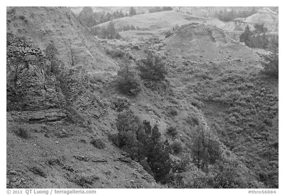Red soil, Scoria Point. Theodore Roosevelt National Park (black and white)