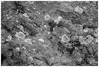 Close-up of red rocks with lichen. Theodore Roosevelt National Park, North Dakota, USA. (black and white)