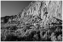 Grasses and cliff with cannonball concretions. Theodore Roosevelt National Park, North Dakota, USA. (black and white)