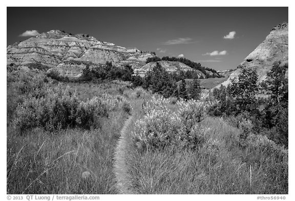 Caprock coulee trail. Theodore Roosevelt National Park (black and white)