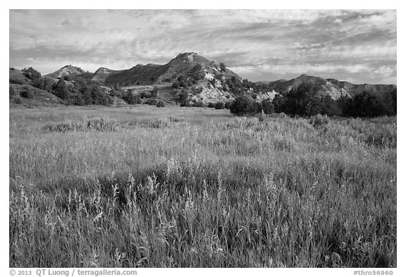 Meadow and badlands, early morning, Elkhorn Ranch Unit. Theodore Roosevelt National Park, North Dakota, USA.