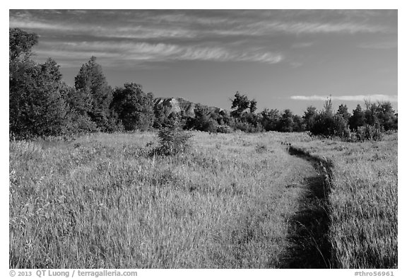 Trail through meadow, cottowoods and distant badlands, Elkhorn Ranch Unit. Theodore Roosevelt National Park (black and white)
