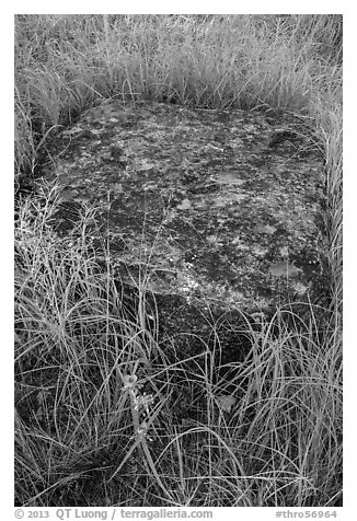 Foundation stone of Roosevelt Elkhorn Ranch. Theodore Roosevelt National Park, North Dakota, USA.