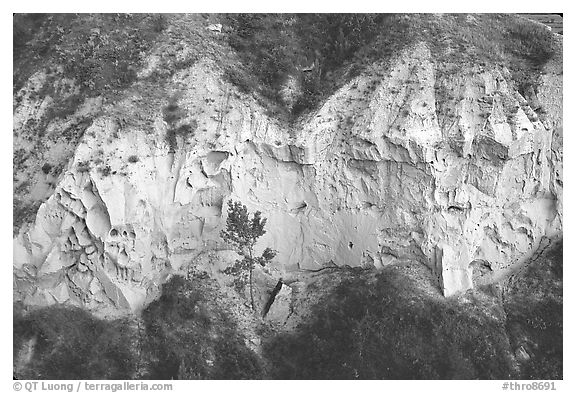 Wind Canyon walls. Theodore Roosevelt National Park (black and white)