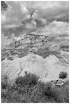 Colorfull badlands, North Unit. Theodore Roosevelt National Park ( black and white)