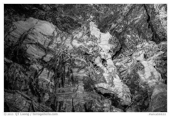 Cave ceiling with boxwork formation. Wind Cave National Park (black and white)