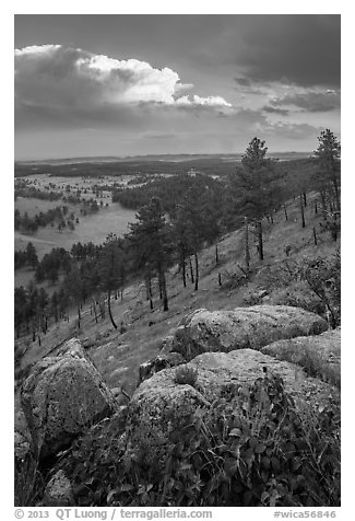 Rankin Ridge and cumulonimbus cloud in late afternoon. Wind Cave National Park (black and white)