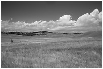 Park visitor looking, prairie and rolling hills. Wind Cave National Park, South Dakota, USA. (black and white)