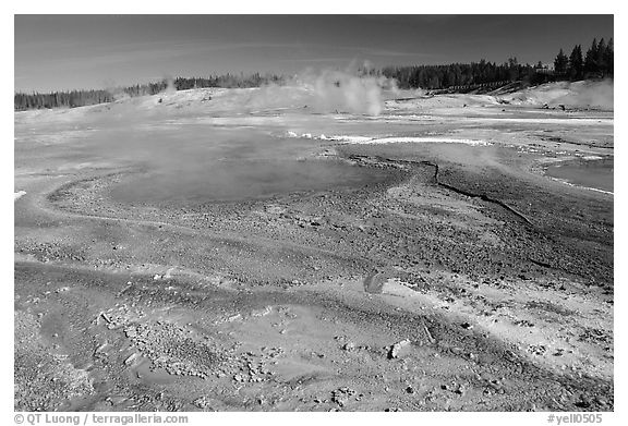 Green and red algaes in Norris geyser basin. Yellowstone National Park (black and white)