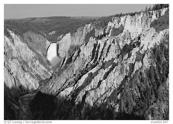 Wide view of Grand Canyon of the Yellowstone, morning. Yellowstone National Park (black and white)