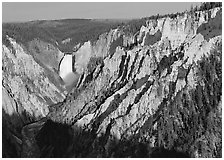 Wide view of Grand Canyon of the Yellowstone, morning. Yellowstone National Park, Wyoming, USA. (black and white)