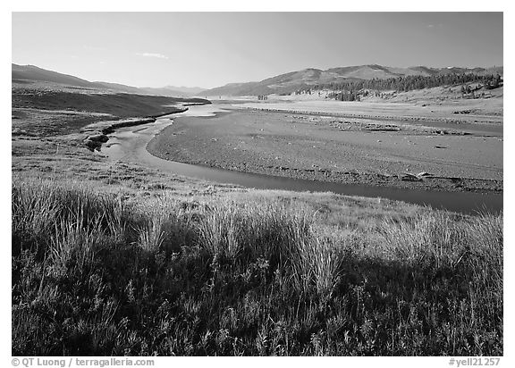 Meadow and river in wide Lamar Valley. Yellowstone National Park (black and white)