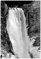 Lower Falls of the Yellowstone river in winter. Yellowstone National Park ( black and white)