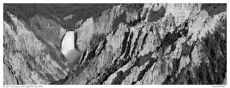 Yellowstone canyon and waterfall. Yellowstone National Park (black and white)