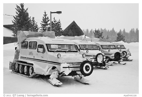 Snow coaches parked at Flagg Ranch. Yellowstone National Park (black and white)