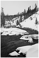 Lewis River and falls, winter. Yellowstone National Park ( black and white)