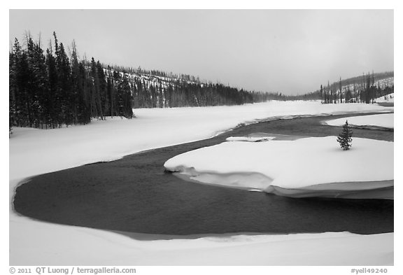 Lewis River valley in winter. Yellowstone National Park (black and white)