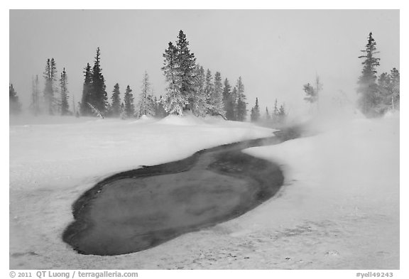 Thermal pool in winter, West Thumb Geyser Basin. Yellowstone National Park (black and white)