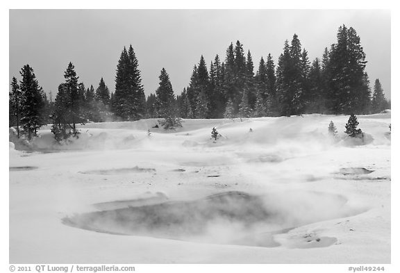 Steam rising from pool in winter, West Thumb. Yellowstone National Park (black and white)