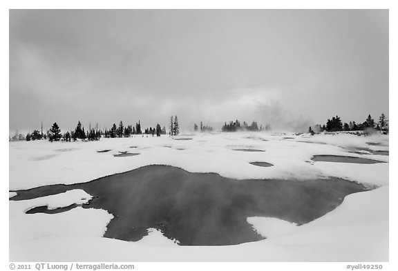 West Thumb Geyser Basin in winter. Yellowstone National Park (black and white)
