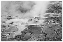 Hot springs detail. Yellowstone National Park, Wyoming, USA. (black and white)