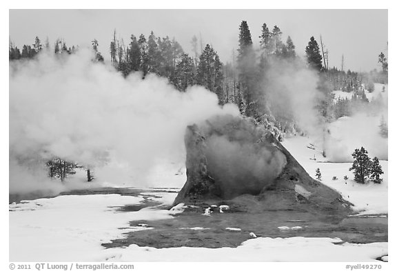 Giant Geyser cone and steam in winter. Yellowstone National Park, Wyoming, USA.