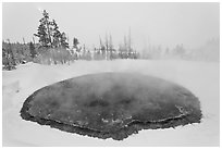 Morning Glory Pool, winter. Yellowstone National Park, Wyoming, USA. (black and white)