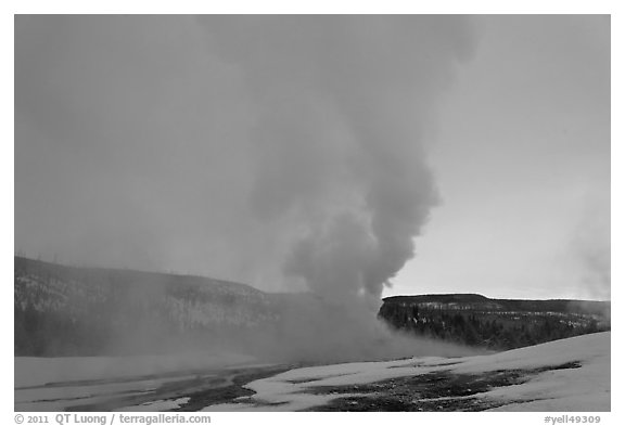 Old Faithful Geyser at dawn. Yellowstone National Park (black and white)