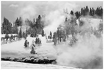 Steam and forest in winter. Yellowstone National Park, Wyoming, USA. (black and white)