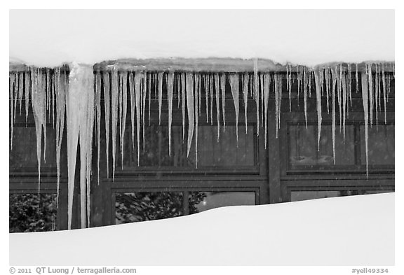 Icicles, Old Faithful Snow Lodge. Yellowstone National Park (black and white)