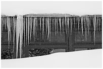 Icicles, Old Faithful Snow Lodge. Yellowstone National Park, Wyoming, USA. (black and white)