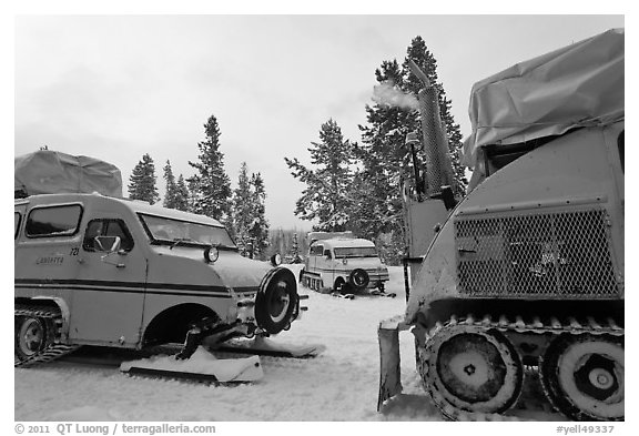 Bombardier snowcoaches. Yellowstone National Park (black and white)