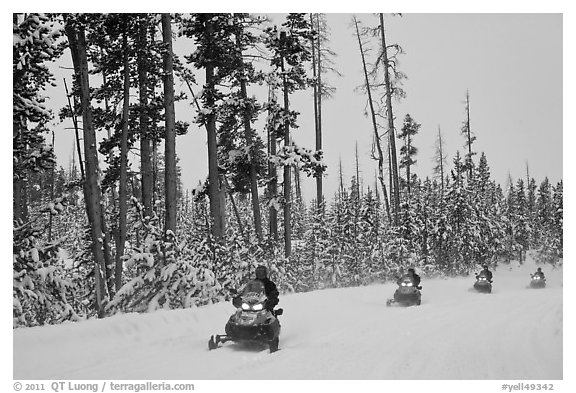 Snowmobilers. Yellowstone National Park (black and white)