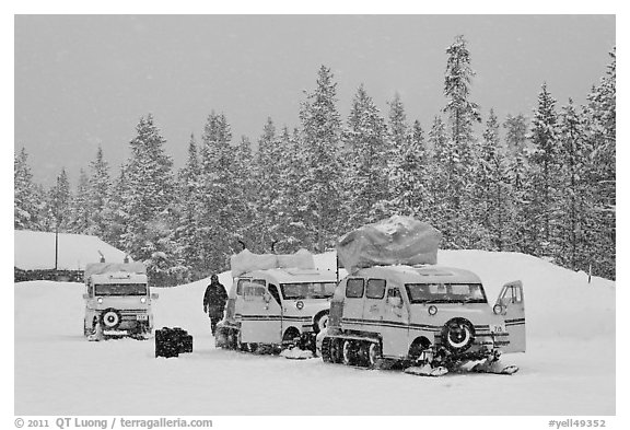 Snowcoaches and snow falling. Yellowstone National Park (black and white)