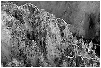 Rock wall in Grand Canyon of the Yellowstone. Yellowstone National Park, Wyoming, USA. (black and white)
