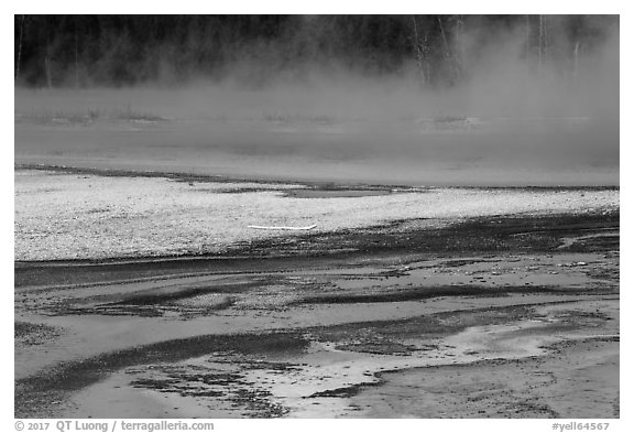 Steam rising from Rainbow Pool. Yellowstone National Park (black and white)