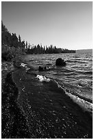Lewis Lake Shore with black send. Yellowstone National Park ( black and white)