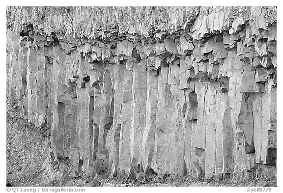 Basalt columns. Yellowstone National Park (black and white)