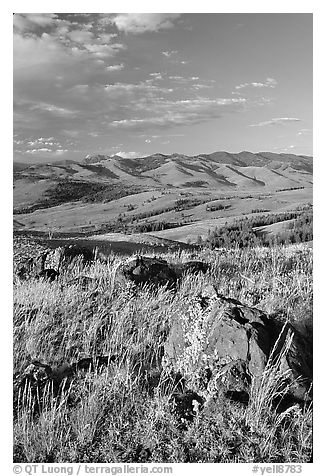 Rocks, grasses, and hills, Specimen ridge, late afternoon. Yellowstone National Park (black and white)