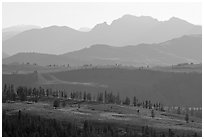 Backlit ridges of Absaroka Range from Dunraven Pass, early morning. Yellowstone National Park, Wyoming, USA. (black and white)