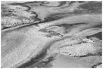 Colorful algaes patterns, Biscuit Basin. Yellowstone National Park, Wyoming, USA. (black and white)
