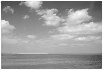 Sky and Elkhorn coral reef. Biscayne National Park, Florida, USA. (black and white)