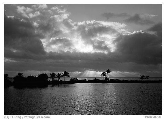 Sunrays and clouds at sunrise, Bayfront. Biscayne National Park (black and white)
