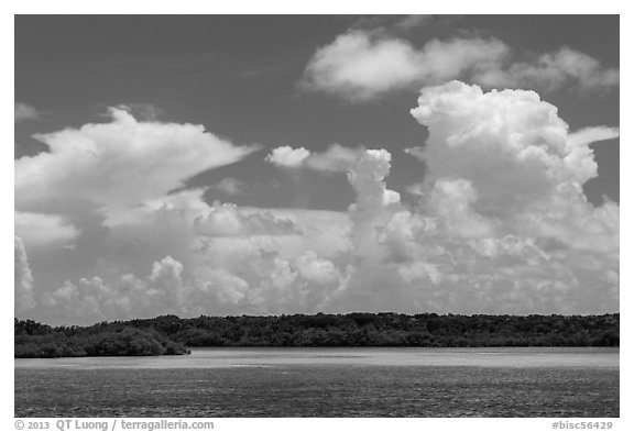 Barrier island, shallow waters, and afternoon clouds. Biscayne National Park, Florida, USA.