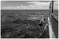 Snorkeling boat, snorklers and reef. Biscayne National Park, Florida, USA. (black and white)