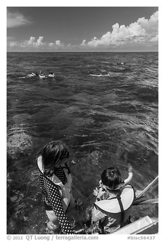 Snorkelers entering water. Biscayne National Park, Florida, USA.