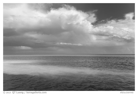 Sand bars, light and clouds, Atlantic Ocean. Biscayne National Park (black and white)