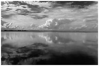Clouds reflected in water, Biscayne Bay. Biscayne National Park, Florida, USA. (black and white)