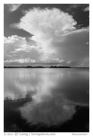 Cumulonimbus clouds, and mangrove-covered islets, Biscayne Bay. Biscayne National Park, Florida, USA.